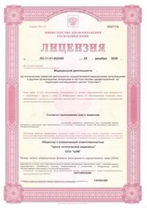 Лицензия 2020 - 0001